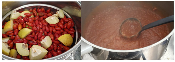 Hagebutten Konfitüre